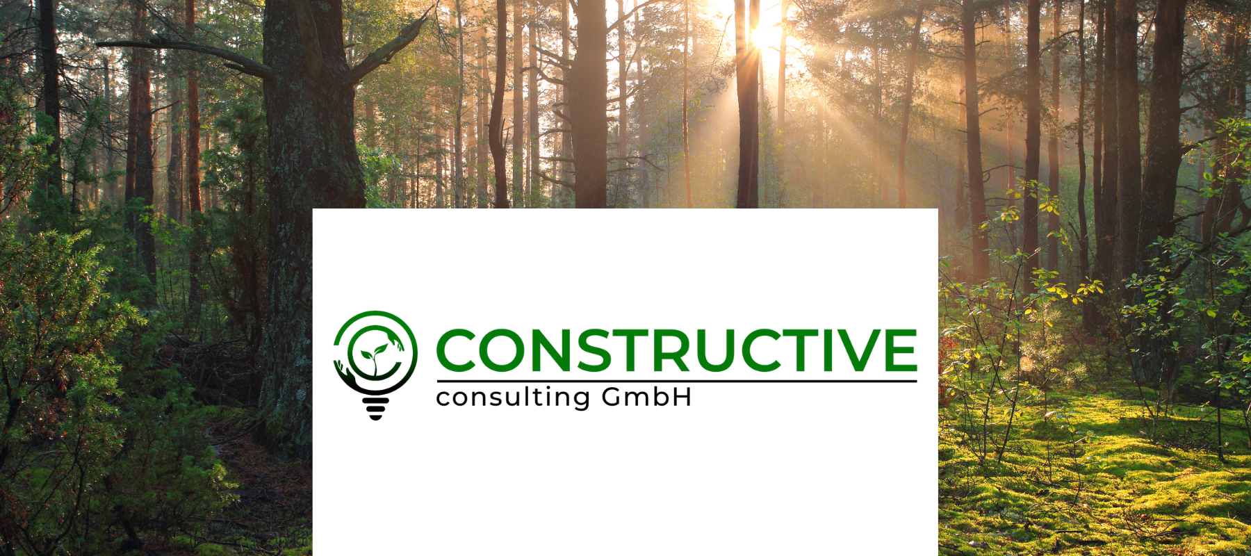 constructive Consulting GmbH