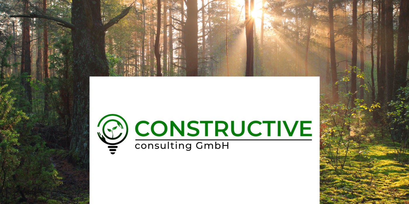constructive Consulting GmbH